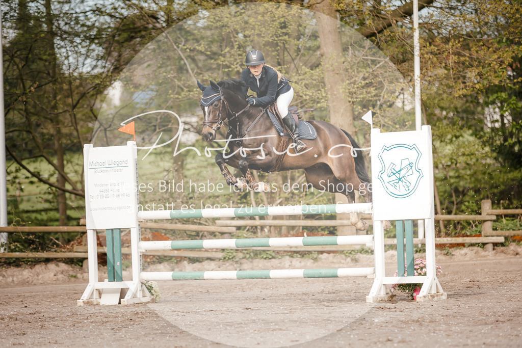 3I6A3343 | Stimmungsvolle Portraits und Reitsportfotografie im Ruhrgebiet und im Münsterland.

Pferdefotografie, Hundefotografie, Tierfotografie, Reportagen, Portraits von Tier und Mensch, Turnierfotografie in Bochum, Recklinghausen, Marl, Haltern am See, Dülmen.. - Realisiert mit Pictrs.com