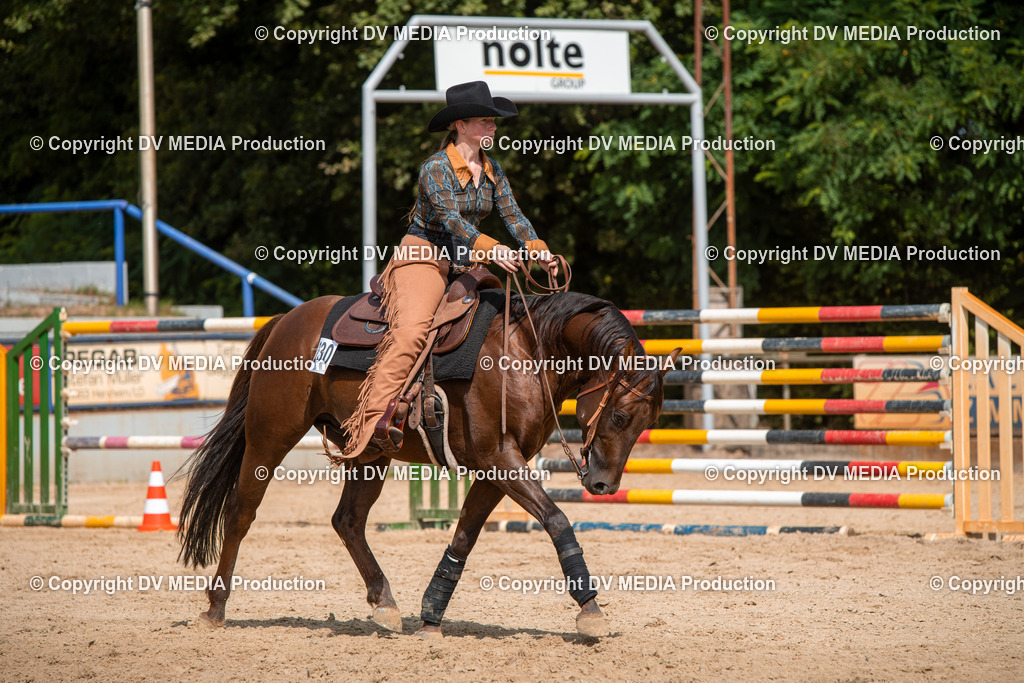 EWP_6001 | dv-media-shop - Realisiert mit Pictrs.com