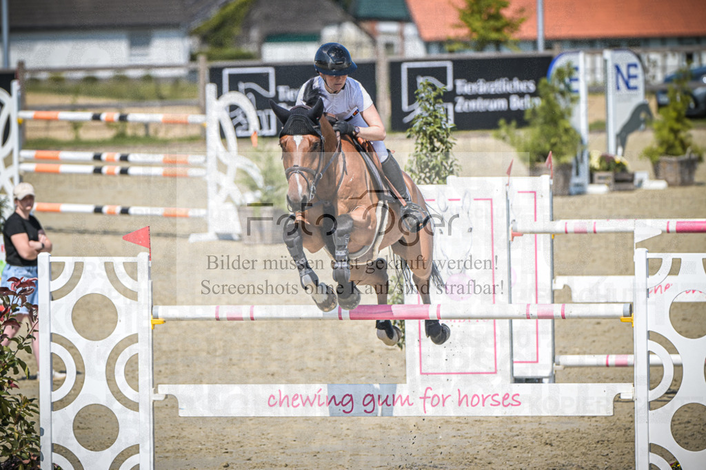 DOS_2417 | Entdecke hochwertige Reitturnierfotos von Foto Oger. Professionell, emotional und authentisch – jetzt Lieblingsmomente im Shop bestellen.Deutschlandweite Turnierfotografie. - Realisiert mit Pictrs.com