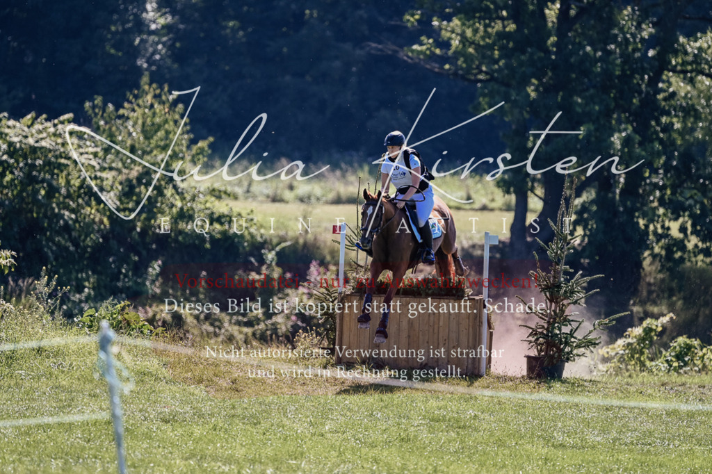 DSC_1663 | Pferde- und Turnierfotografie in Westsachsen. Pferdeportraits, Auftragszeichnungen und intuitive Kunst.