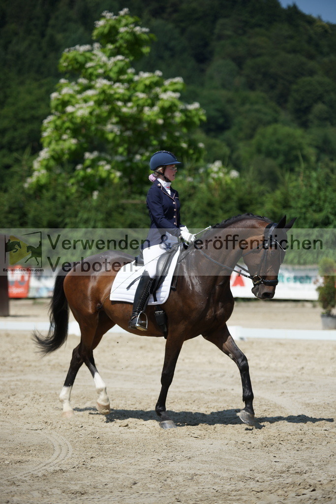 DSC01729 | equestrian-live-com