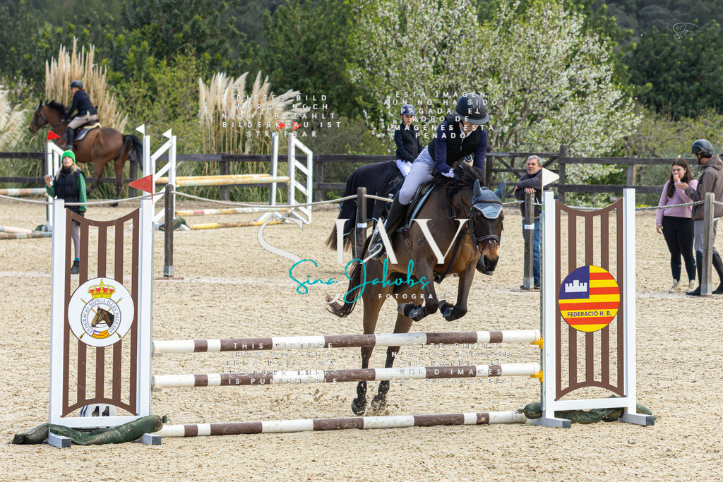 IMG_4941 | s-jay-photography - Realisiert mit Pictrs.com