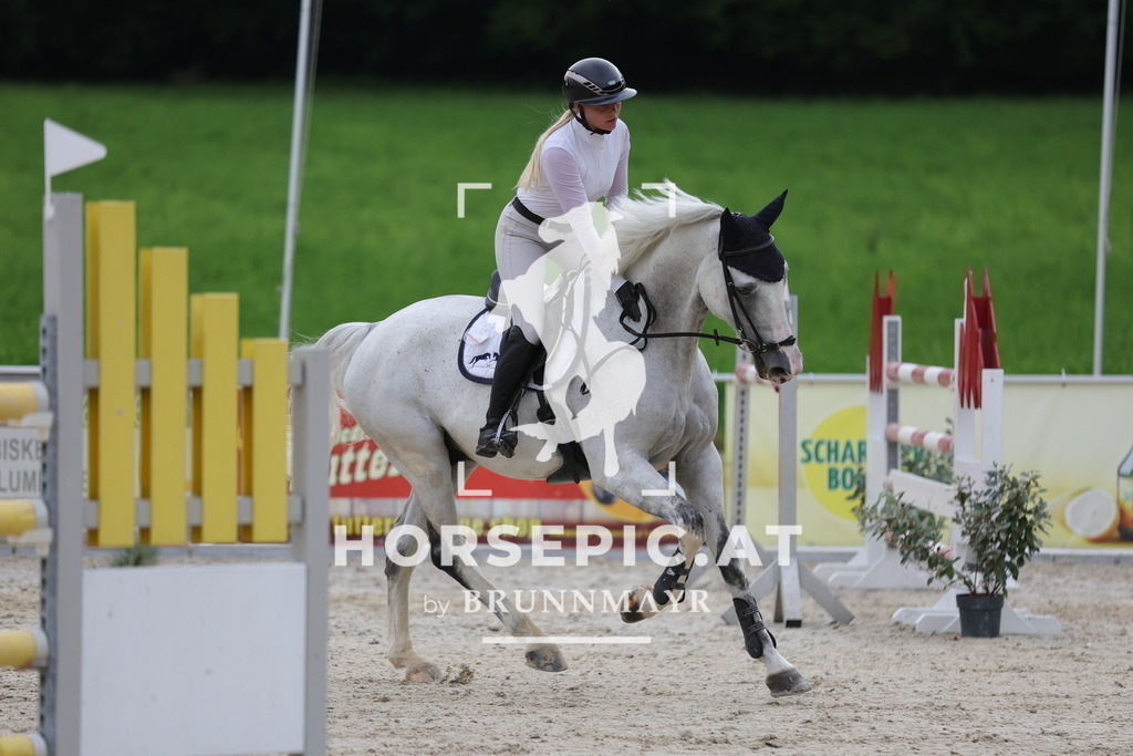 0P6A2050 | Willkommen bei Brunnmayr - Design & Fotografie – Ihrem Spezialisten für Reitturniere und Pferdeveranstaltungen in Oberösterreich, Salzburg und Bayern! Seit über 17 Jahren sind wir leidenschaftlich dabei.
