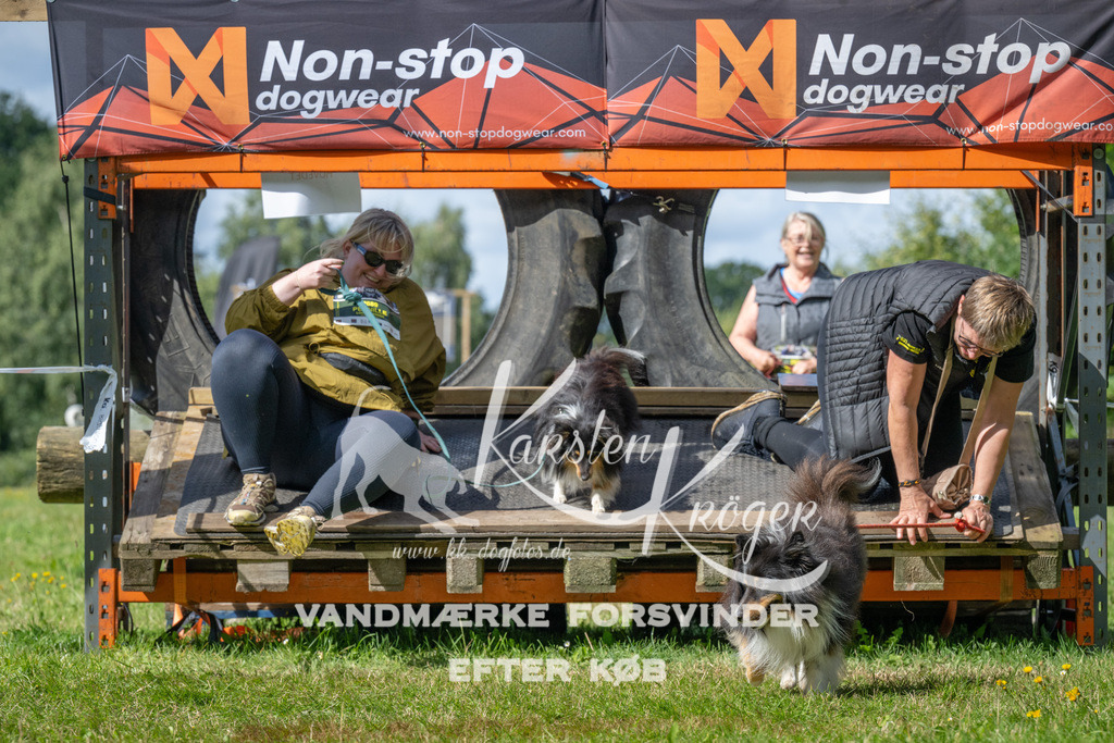 1549_ZZ94357 | kk-dogfotos