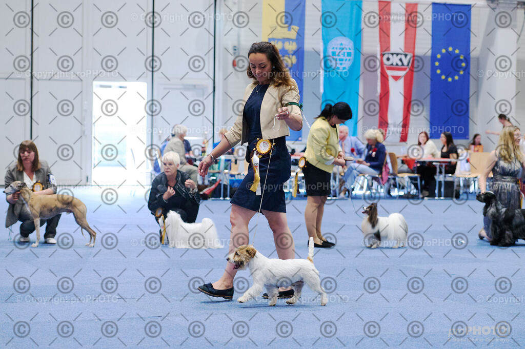 202406_ÖKV-IHA-Tulln24_DSC_2786 | proPHOTO - Realisiert mit Pictrs.com