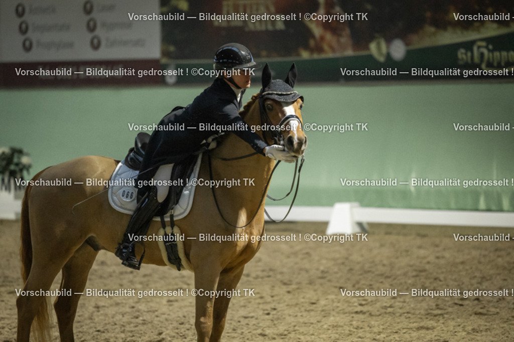 _D5A7262 | Emotionale Pferde- & People-Fotografie rund um Heidelberg, Leimen & Umgebung. Natürliche Fotos von Pferd, Mensch & Familie. Jetzt Termin sichern!