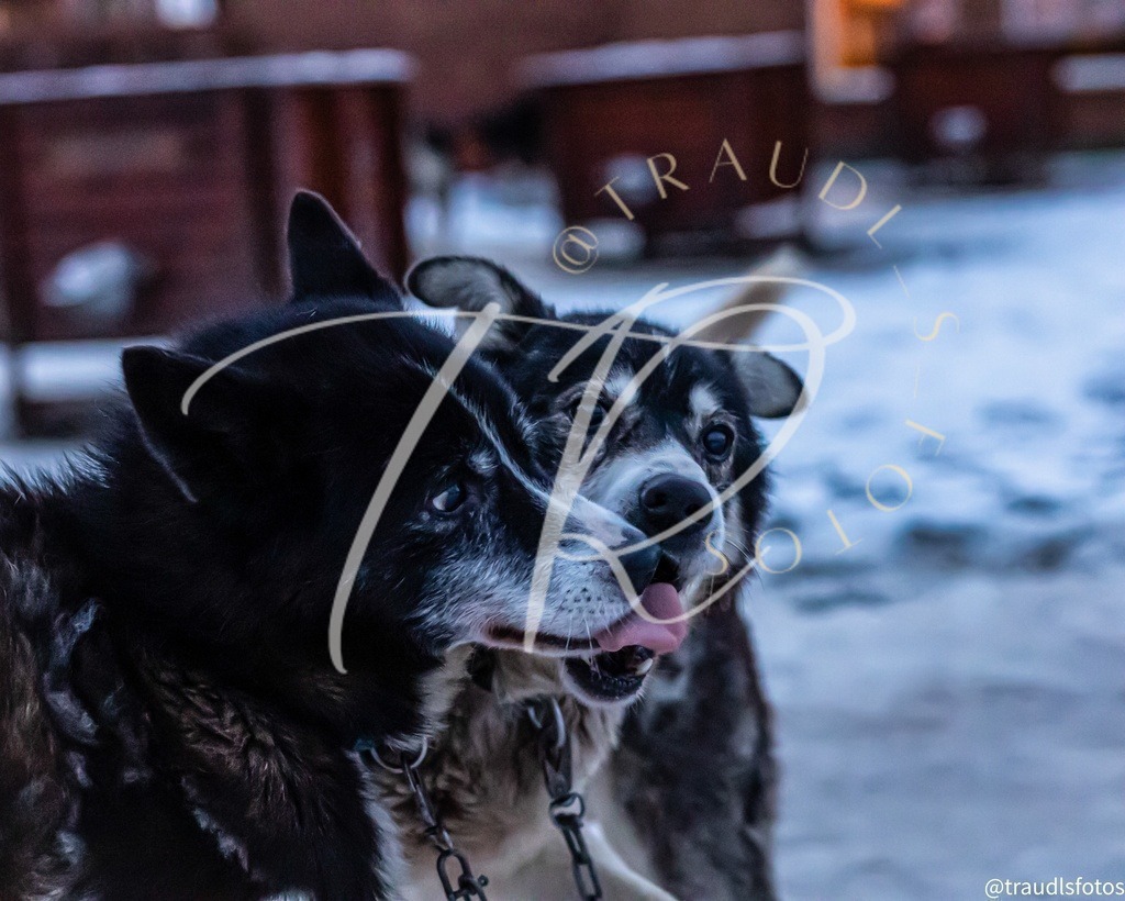 67E412DB-0FFA-4EB2-80F4-29FDE9312DF2 | traudl_s_fotos