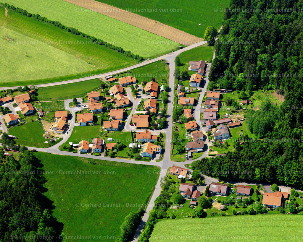 2724238 | Böhmzwiesel