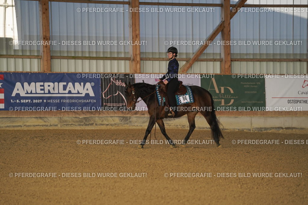 DSC08125 | Pferdegrafie