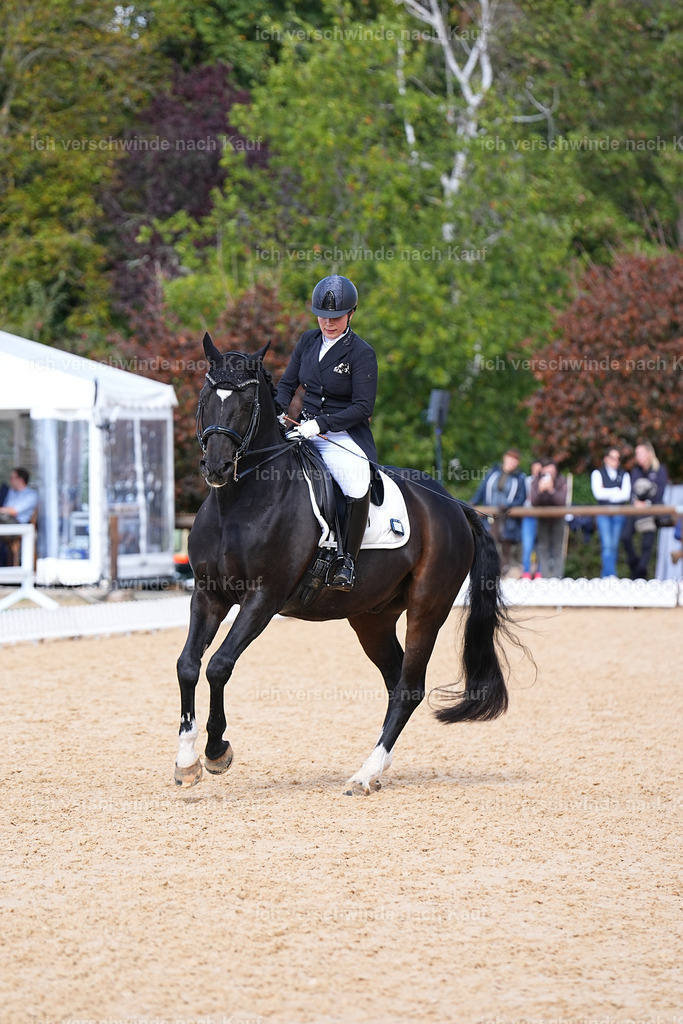 09_2-183-DRESSUR  S_  -Marixx-5995 | working equitationturnier fotograf videograf stoibphotography marixx film working equitation deutschland reitsport turnierfotografie eventfotografie equestrian events
