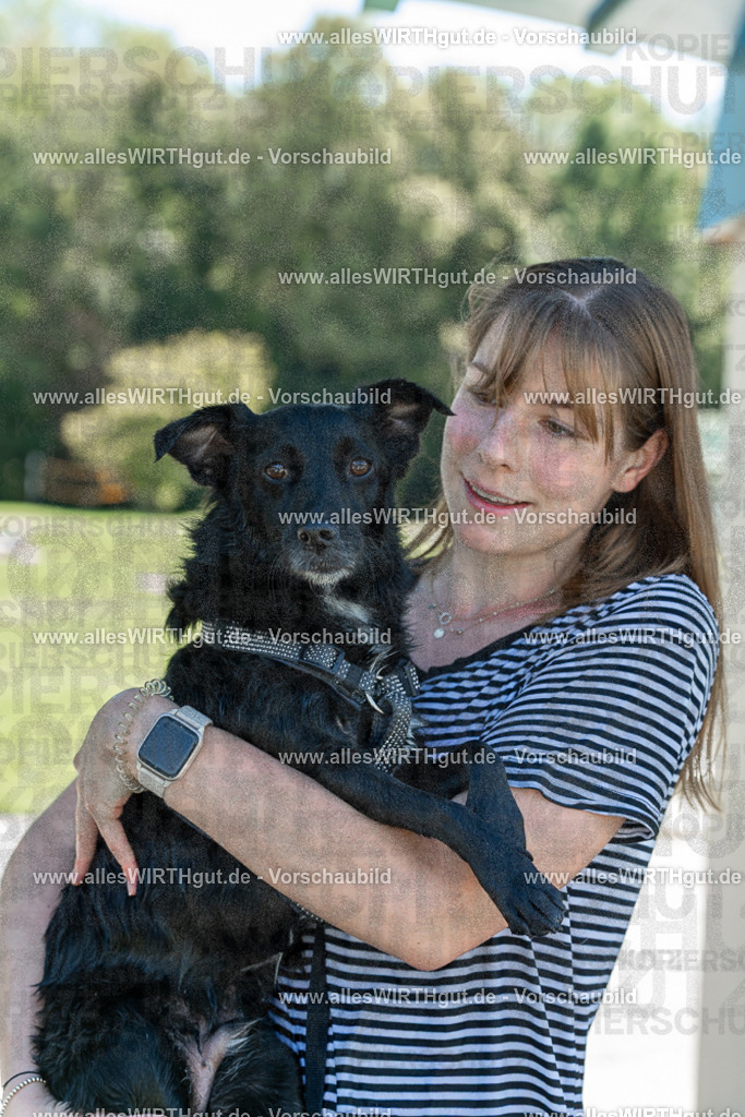 Hundeschwimmen_Volksbad_2026-allesWIRTHgut_Tierfotografie-2609061300-121001-7R500377 | Professionelle Tierfotografie in Mönchengladbach von Daniel Wirth (allesWIRTHgut). Liebevolle & natürliche Bilder von Hunden & Katzen für unvergessliche Erinnerungen.