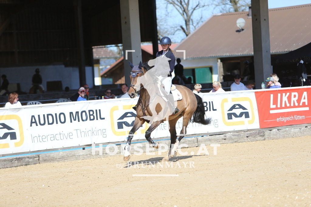 DL2Q4967 | Willkommen bei Brunnmayr - Design & Fotografie – Ihrem Spezialisten für Reitturniere und Pferdeveranstaltungen in Oberösterreich, Salzburg und Bayern! Seit über 17 Jahren sind wir leidenschaftlich dabei.