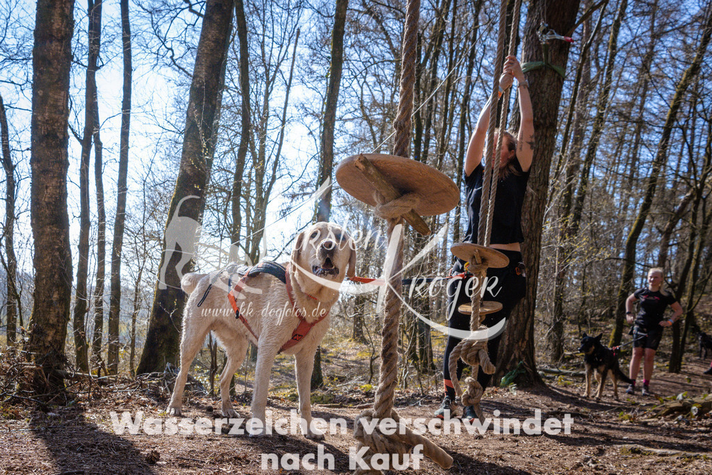 1113_ZZ96998 | kk-dogfotos