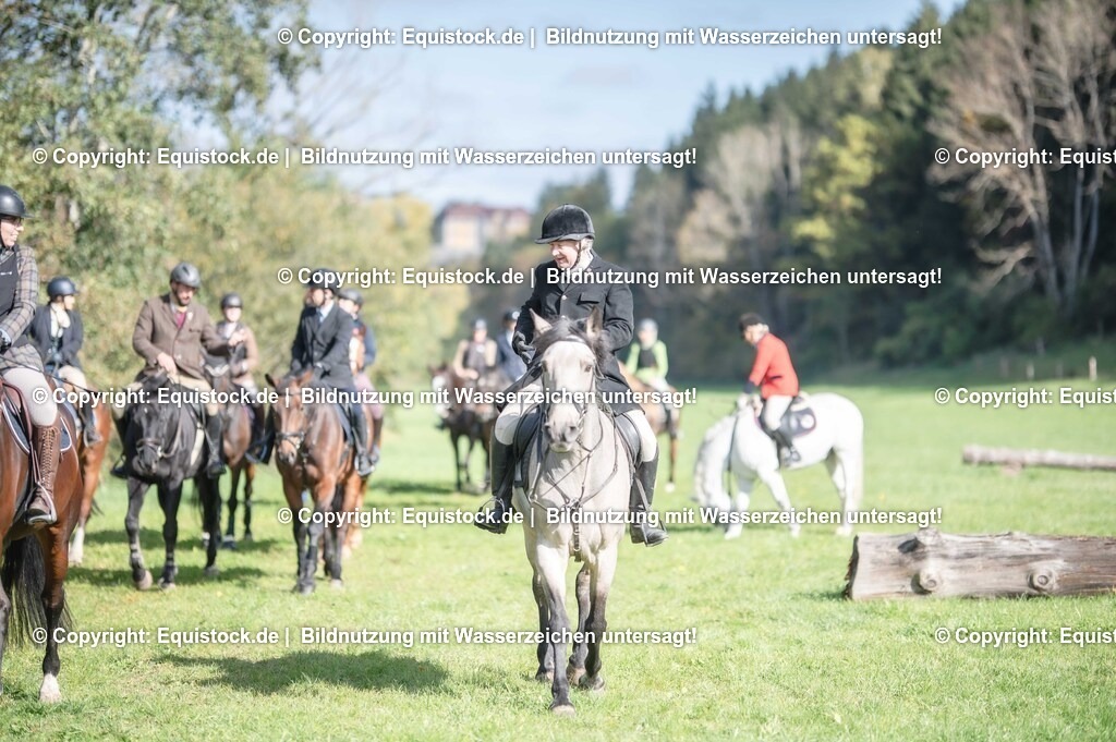 20251011_Jagd-Marbach_0120 | Foto: Thomas Hartig