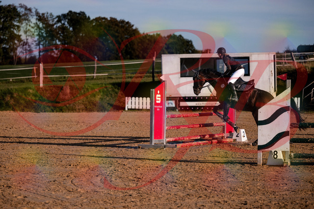 2026_10_03_Siefer-Hof_171851_Z81_16628602 | Professionelle Reitsport-, Turnier- und Eventfotografie von Robert Broda. Galerien mit ausgewählten und bearbeiteten Bildern direkt online ansehen und bestellen.