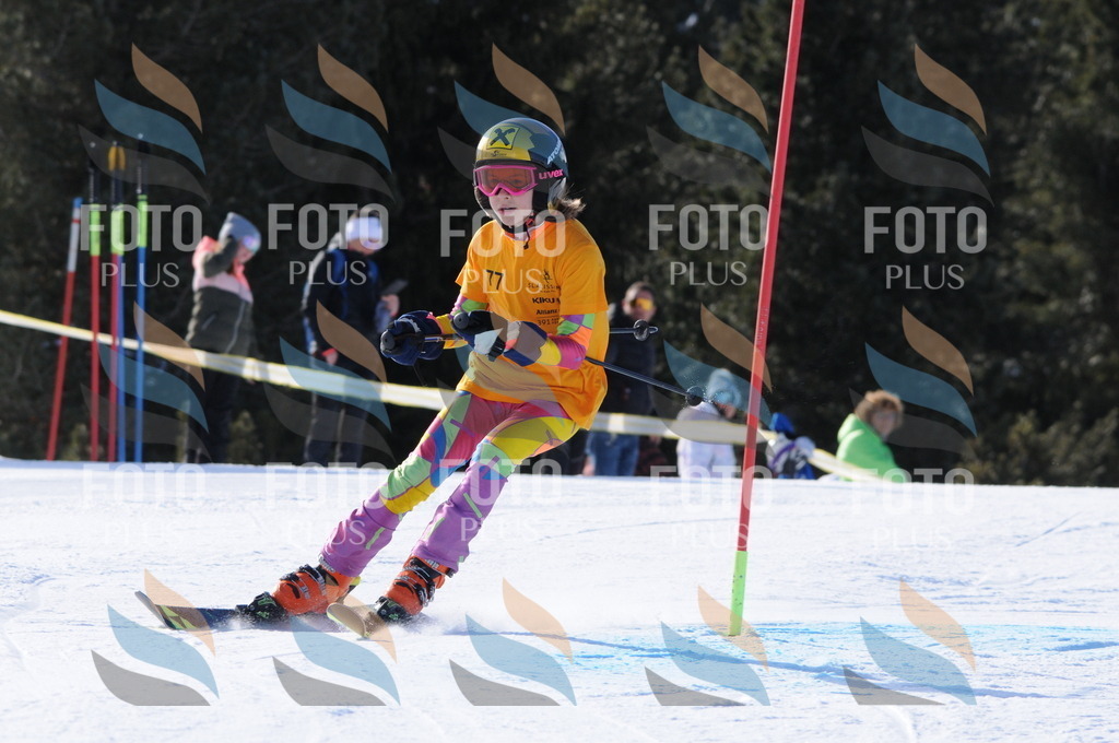 C6980 | holidayphoto