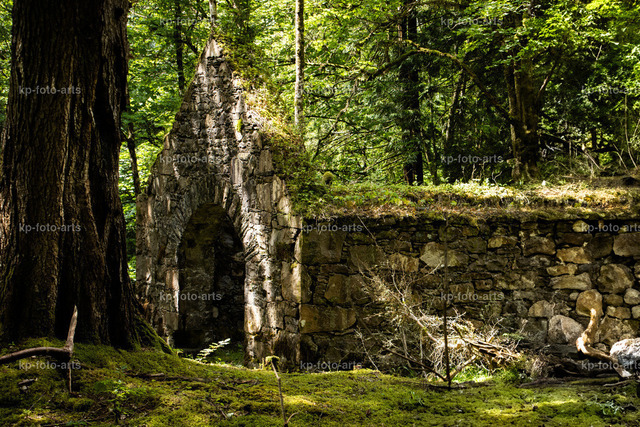 IMG_0051 | kp-photogasse.de - Realisiert mit Pictrs.com