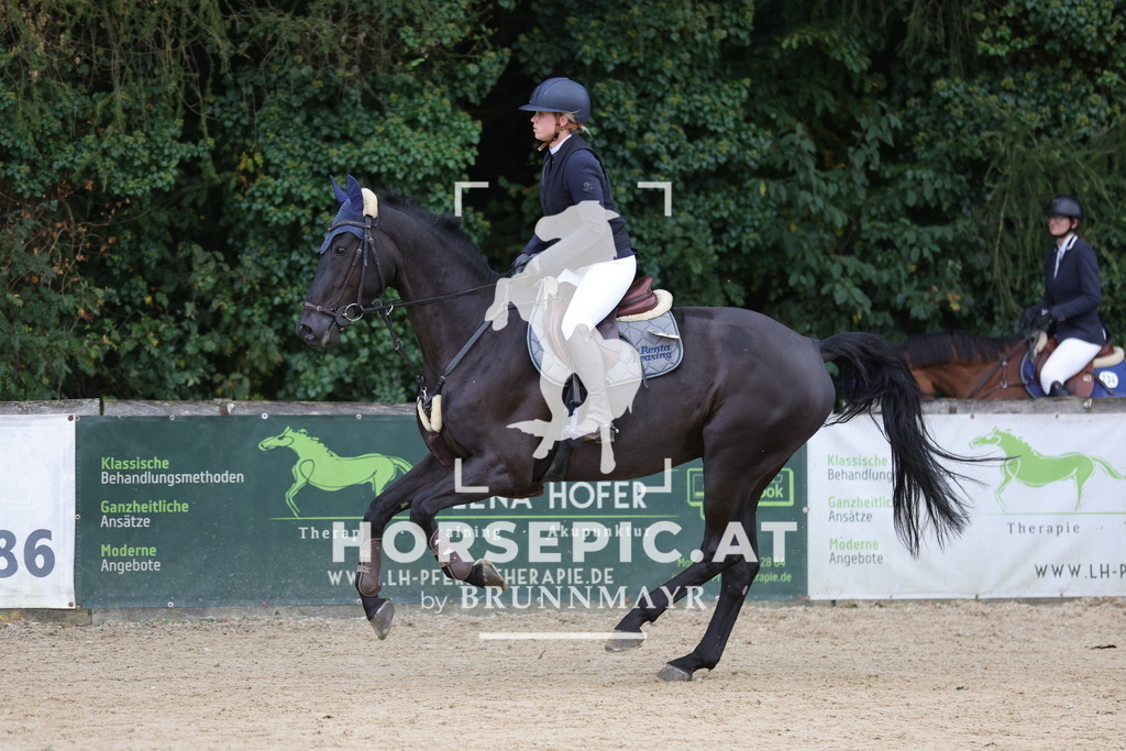 0P6A2470 | Willkommen bei Brunnmayr - Design & Fotografie – Ihrem Spezialisten für Reitturniere und Pferdeveranstaltungen in Oberösterreich, Salzburg und Bayern! Seit über 17 Jahren sind wir leidenschaftlich dabei.