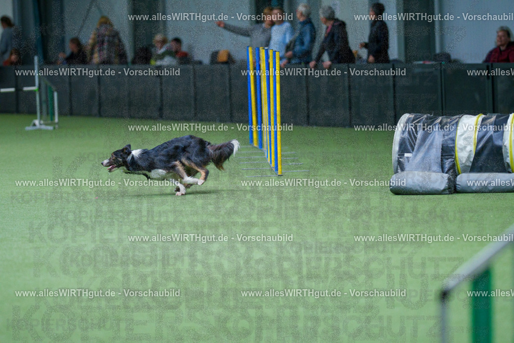 @allesWIRTHgut_Tierfotografie - www.allesWIRTHgut.de - 2604251102-7R501000 | Professionelle Tierfotografie in Mönchengladbach von Daniel Wirth (allesWIRTHgut). Liebevolle & natürliche Bilder von Hunden & Katzen für unvergessliche Erinnerungen.