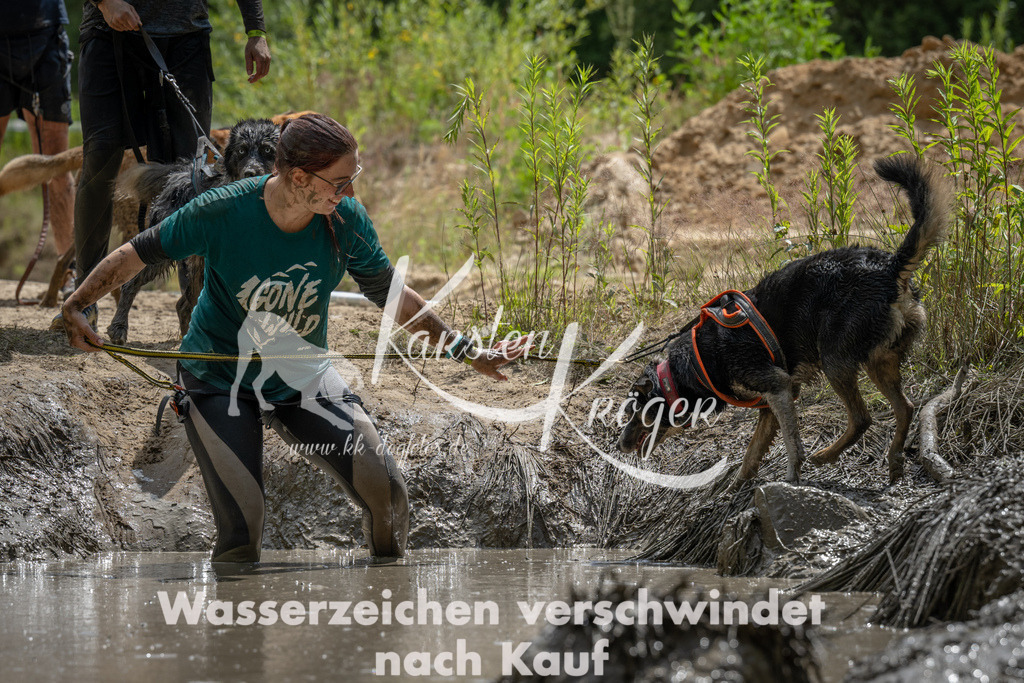 1436_ZZ93133 | kk-dogfotos