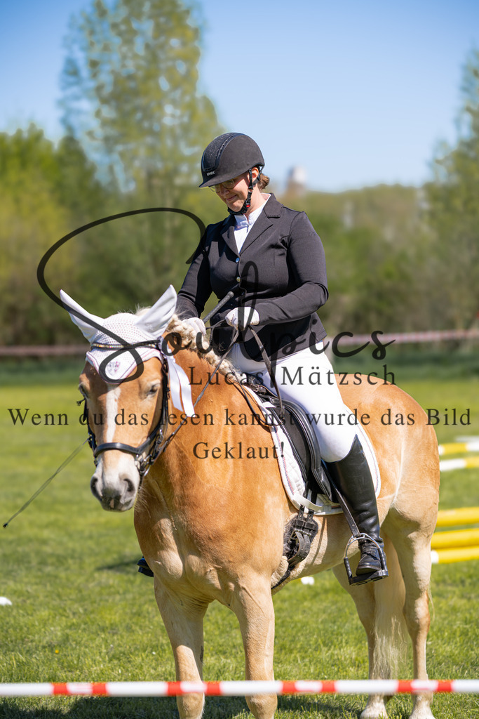 A7V01363 | Pferdefotograf