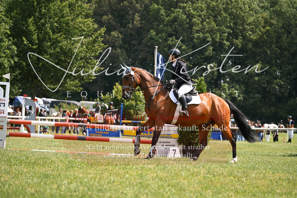 DSC_9154 | Pferde- und Turnierfotografie in Westsachsen. Pferdeportraits, Auftragszeichnungen und intuitive Kunst.