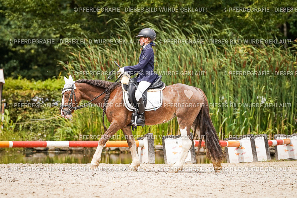 DSC04513 | Pferdegrafie