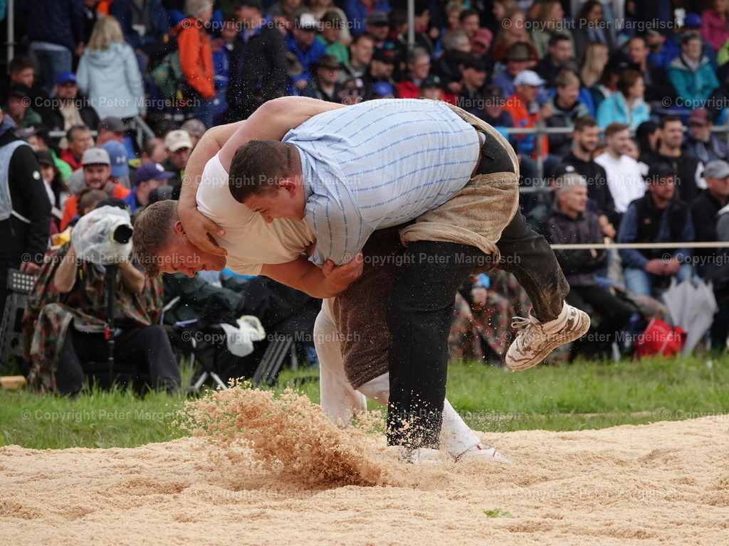 DSC07621 | Schwingen - Realisiert mit Pictrs.com