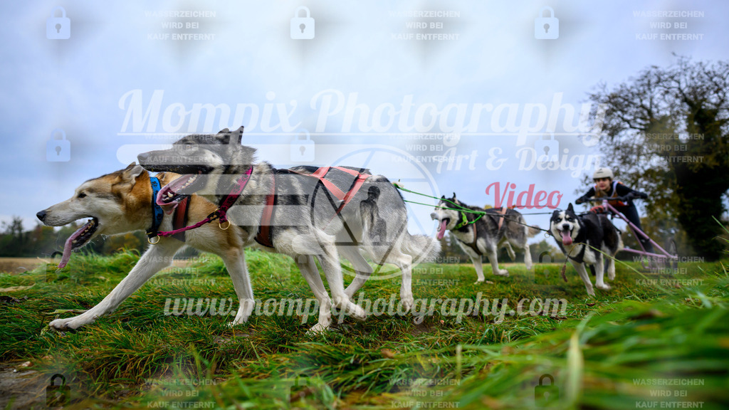 MompixPhotography_CDLBDB2025_DI_Kart-21 | PayLife