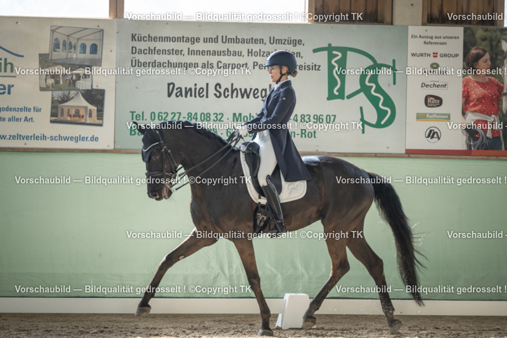 _D5A1127 | Emotionale Pferde- & People-Fotografie rund um Heidelberg, Leimen & Umgebung. Natürliche Fotos von Pferd, Mensch & Familie. Jetzt Termin sichern!