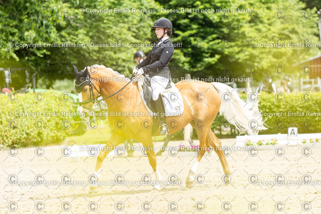 CL5A0187 | Emilia Reinking Fotografie - Realisiert mit Pictrs.com