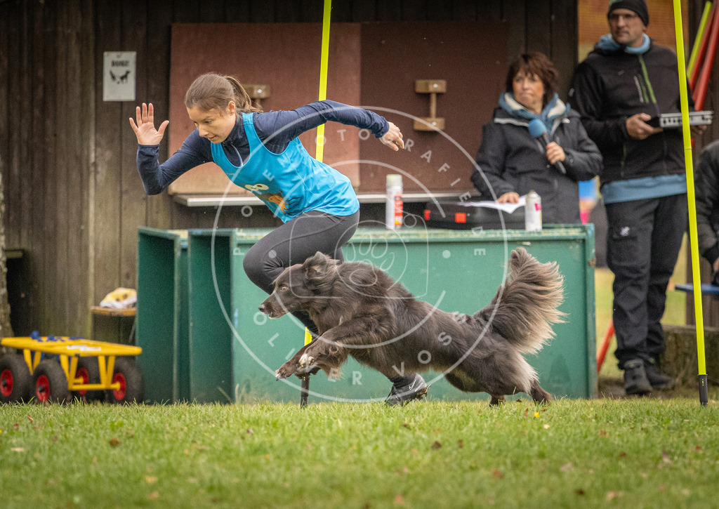 Pfotenfotografie_DV3A7470 | Hundefotografie, Tierfotograf, Pfotenfotografie, Fotoshooting Hund, Hunde Portrait, Hundesport, Hundeportraits, Heideshooting, Hunde, Sportfotograf, Hundefotograf, Turnierhundsport, THS,  - Realisiert mit Pictrs.com