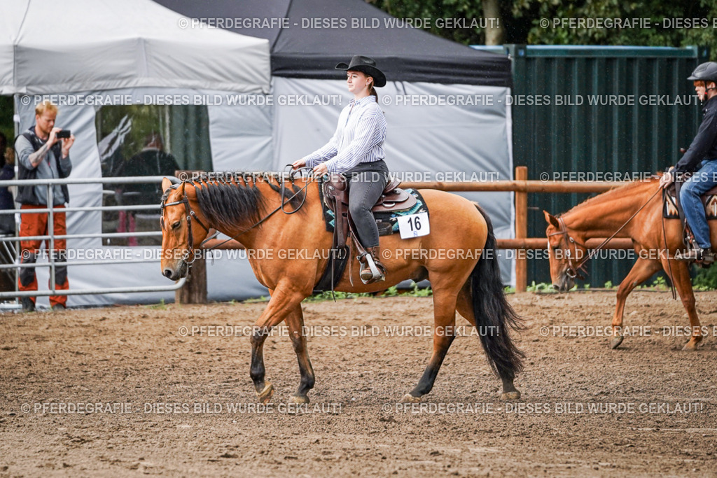 DSC09047 | Pferdegrafie