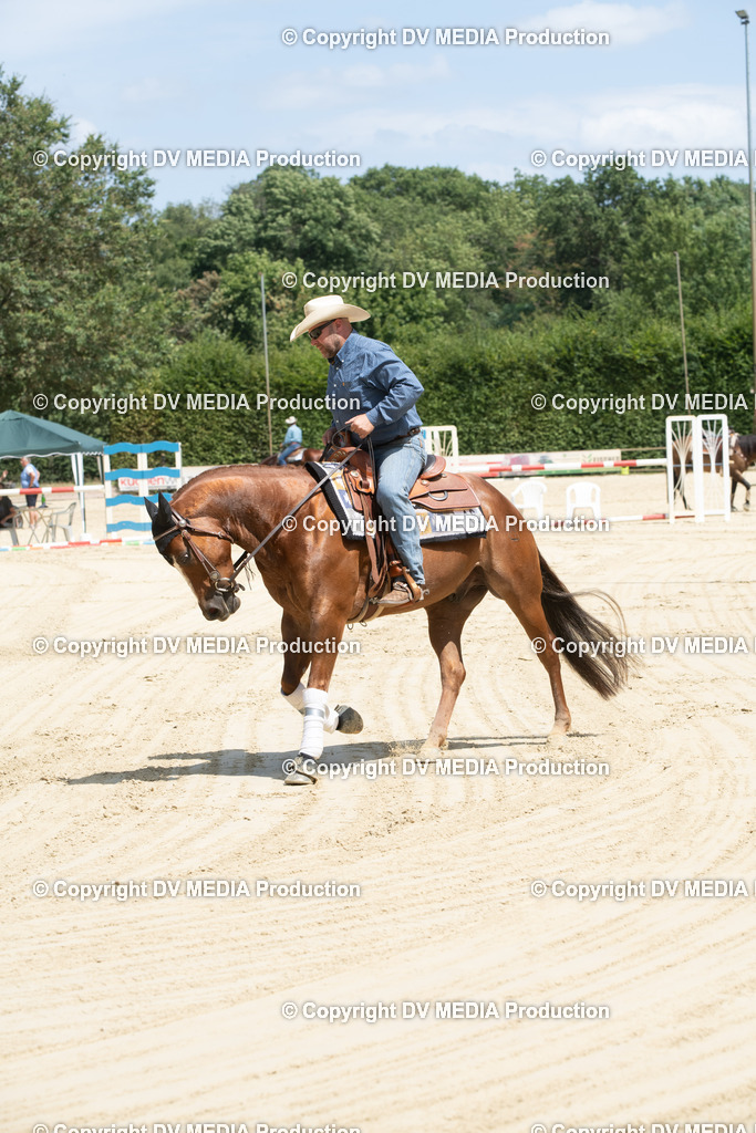 ZS3_9988 | dv-media-shop - Realisiert mit Pictrs.com