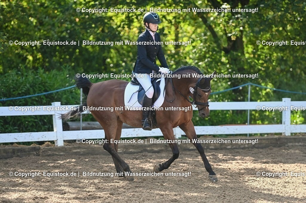 20230716_04_Dressurreiterprüfung Kl.A_0112 | equistock
