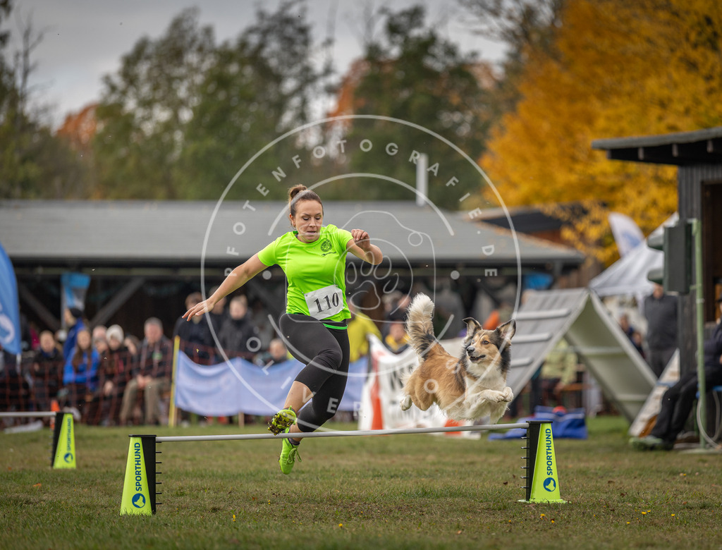 Pfotenfotografie_DV3A6810 | Hundefotografie, Tierfotograf, Pfotenfotografie, Fotoshooting Hund, Hunde Portrait, Hundesport, Hundeportraits, Heideshooting, Hunde, Sportfotograf, Hundefotograf, Turnierhundsport, THS,  - Realisiert mit Pictrs.com