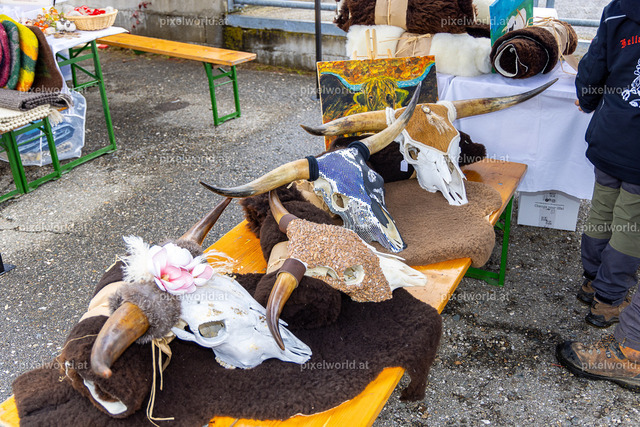 SchaZie-Tag Feldkirchen | Bildershop von pixelworld.at - Realisiert mit Pictrs.com