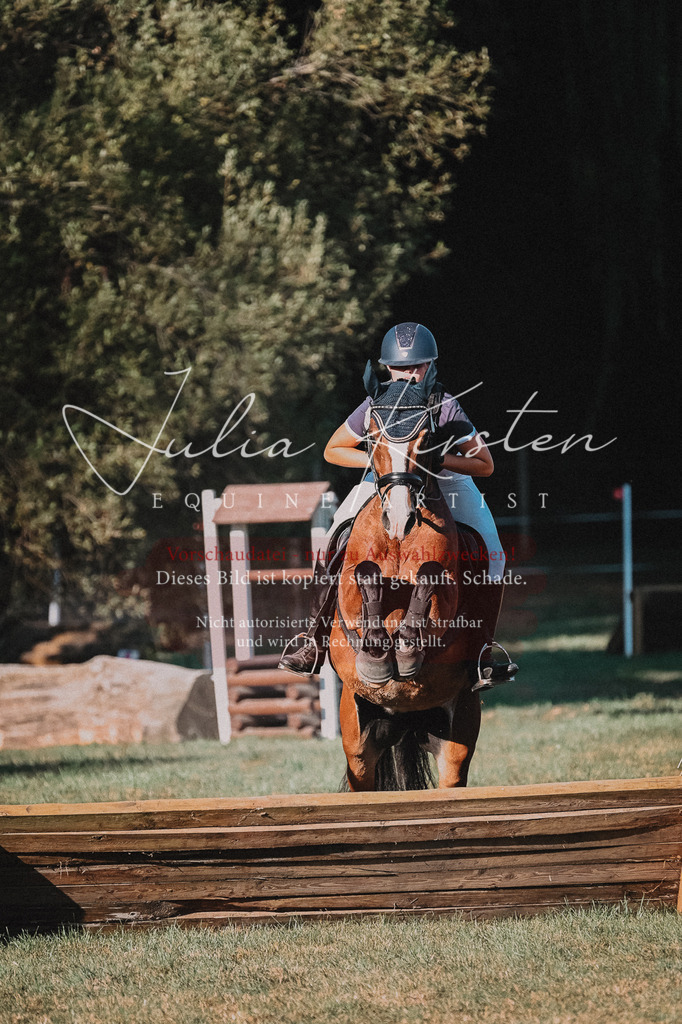 DSC_9095 | Pferde- und Turnierfotografie in Westsachsen. Pferdeportraits, Auftragszeichnungen und intuitive Kunst.