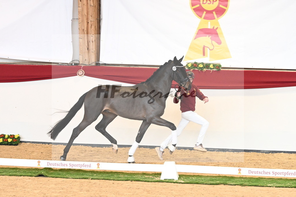Kat.-Nr. 60 v. Raven_Klakow_2240748 | hf-fotografie - Realisiert mit Pictrs.com