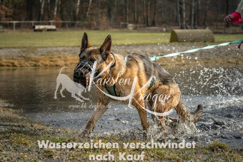 0945_ZZ93400 | kk-dogfotos