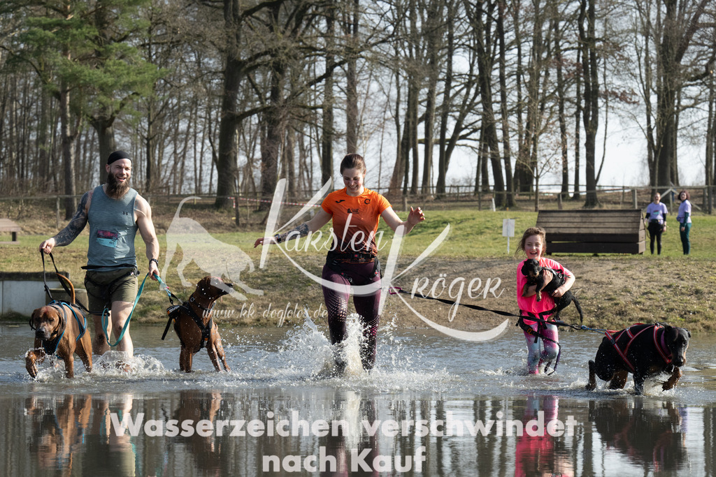 1337_ZZ97489 | kk-dogfotos