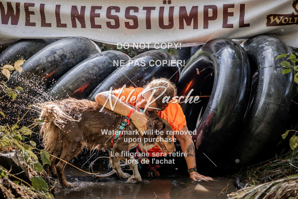 nelerasche_Hunsrück2026_Sa1400-1500_239 | nelerasche