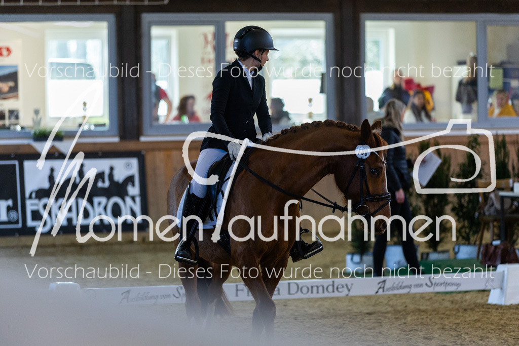 Sth-LPO25-DrR-L-241 | MomenTaufnahmen Pferdesportfotos