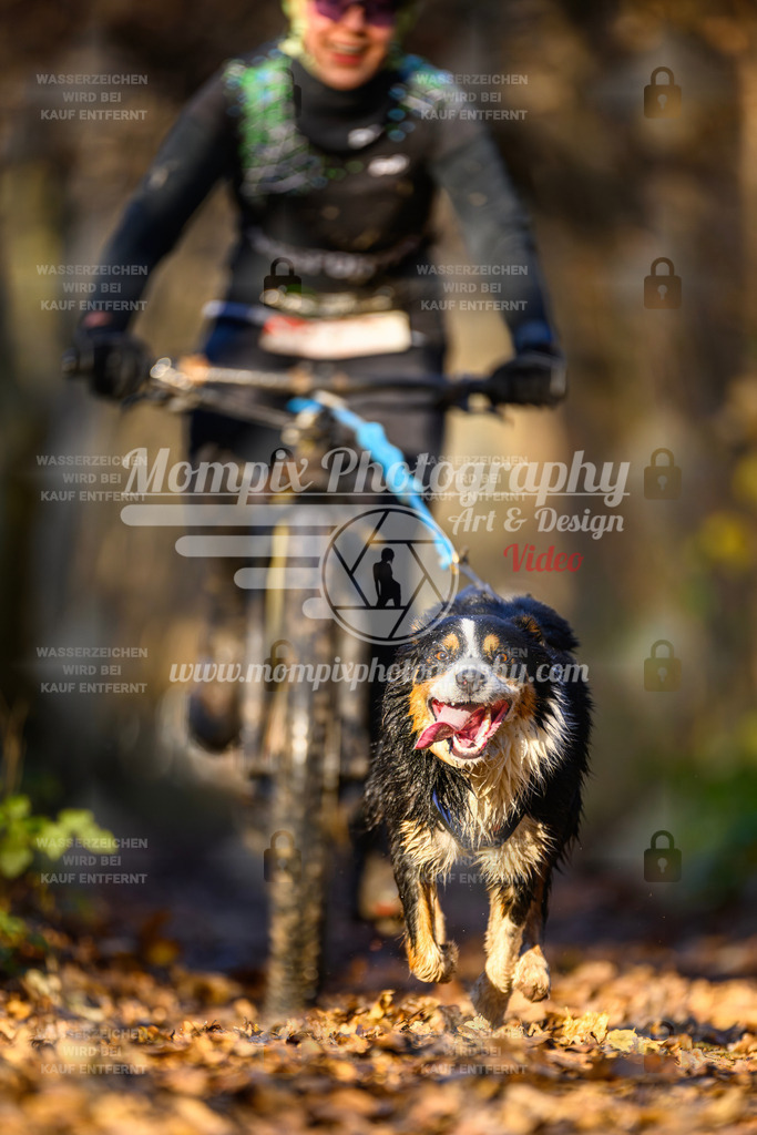 MompixPhotography_Eschau2024_Bike-30 | PayLife