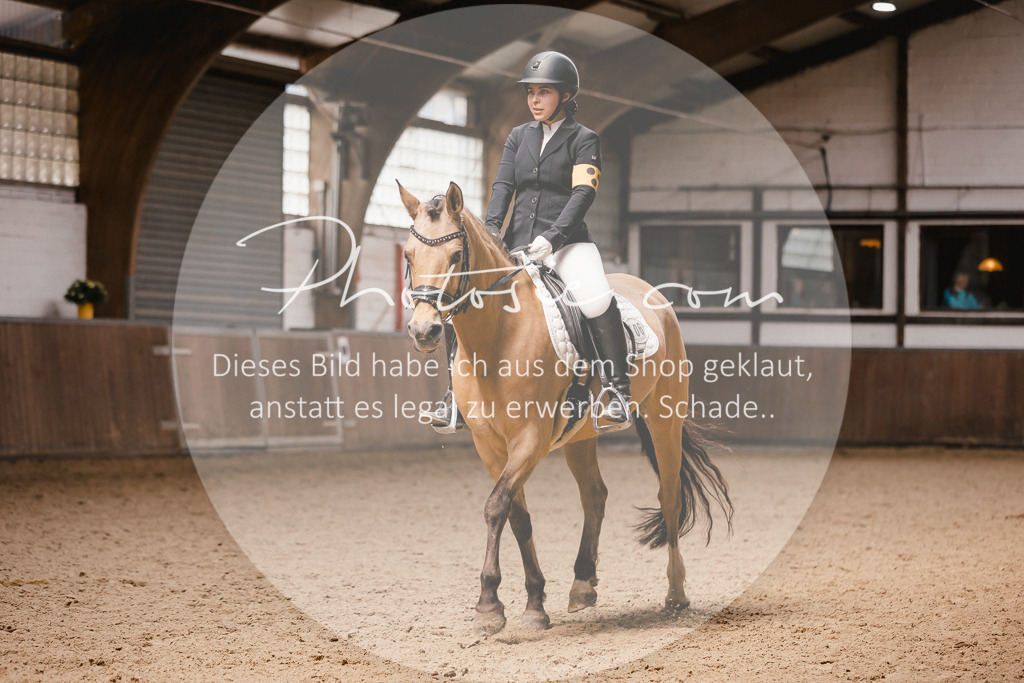 3I6A7578 | Stimmungsvolle Portraits und Reitsportfotografie im Ruhrgebiet und im Münsterland.

Pferdefotografie, Hundefotografie, Tierfotografie, Reportagen, Portraits von Tier und Mensch, Turnierfotografie in Bochum, Recklinghausen, Marl, Haltern am See, Dülmen.. - Realisiert mit Pictrs.com