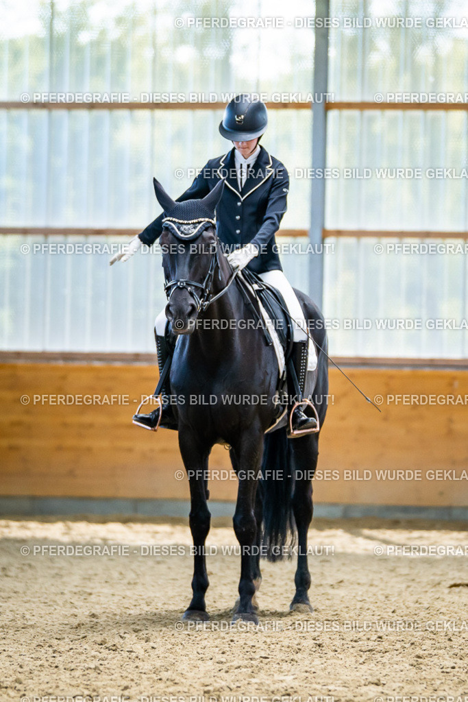 DSC05826 | Pferdegrafie