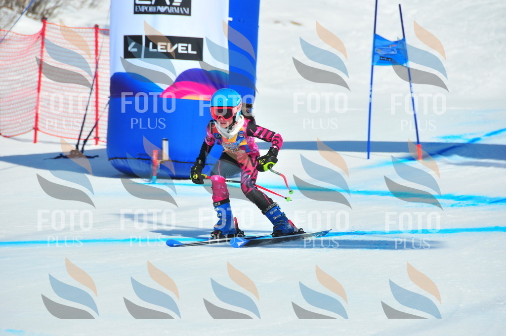 DSC_4265 | holidayphoto