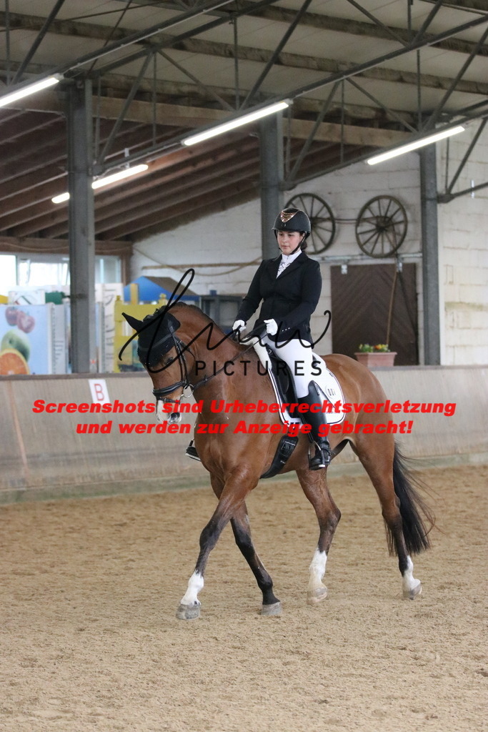 IMG_7263 | lmwpictures - Realisiert mit Pictrs.com