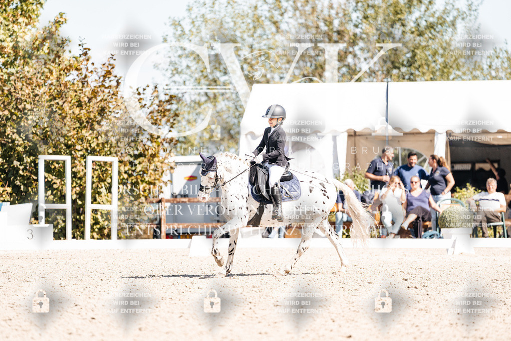 CK904164 | Turnierfotografie Pferdefotografie Trier Rheinland-Pfalz Pferdesport Reitsport Tierfotografie Sportfotografie Pferdevideo Pferdevideografie Equestrianvideography equestrianphotography  - Realisiert mit Pictrs.com
