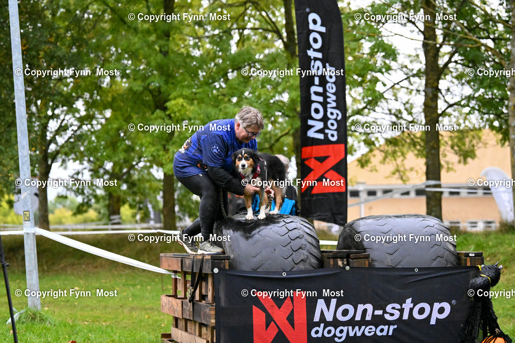 DSC_1290 | Hallo und herzlich Willkommen auf meiner Shop-Seite Fynn Most.

Ich wünsche Dir viel Spaß beim stöbern durch die Bilder, wenn Du Fragen hast oder Bilder vermisst, kannst du mir gerne eine Nachricht schreiben. - Realized with Pictrs.com